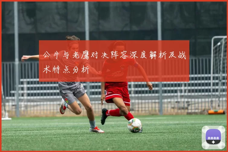 公牛与老鹰对决阵容深度解析及战术特点分析