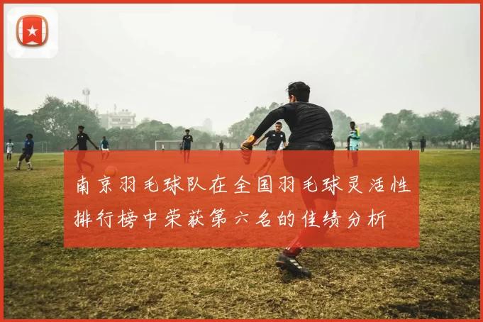 南京羽毛球队在全国羽毛球灵活性排行榜中荣获第六名的佳绩分析