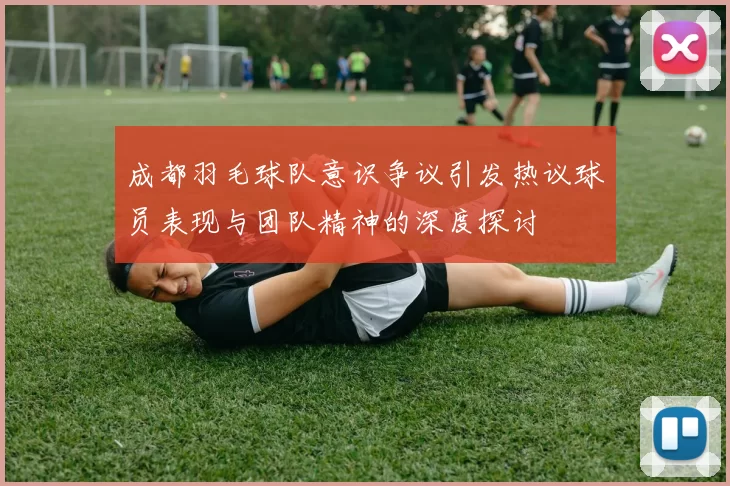 成都羽毛球队意识争议引发热议球员表现与团队精神的深度探讨