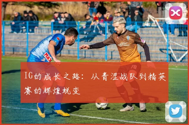 IG的成长之路：从青涩战队到精英赛的辉煌蜕变