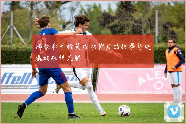 揭秘和平精英成功背后的故事与赵磊的独特见解