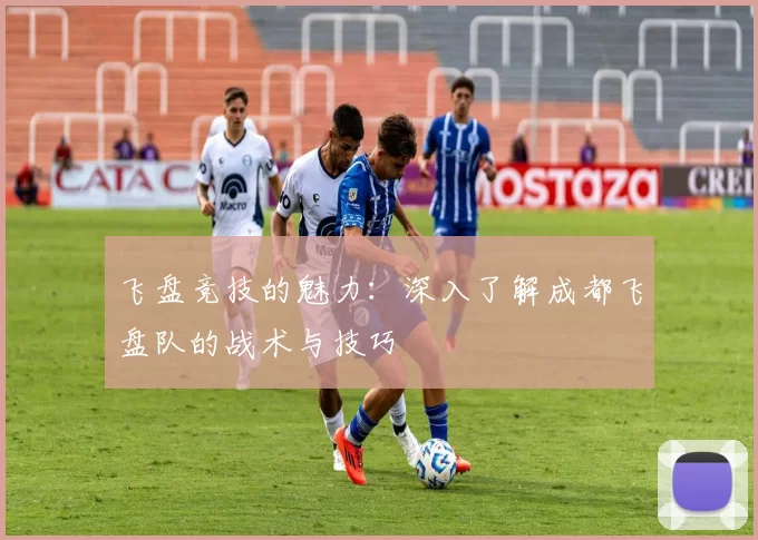 飞盘竞技的魅力：深入了解成都飞盘队的战术与技巧