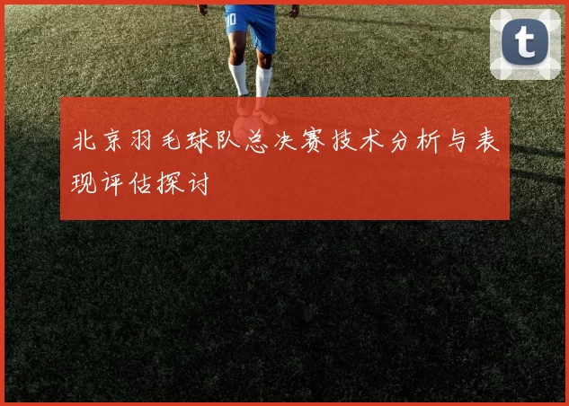 北京羽毛球队总决赛技术分析与表现评估探讨