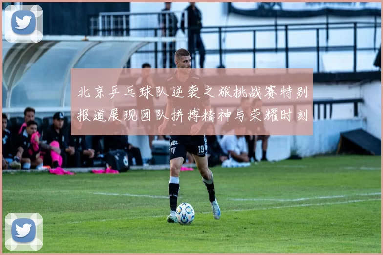 北京乒乓球队逆袭之旅挑战赛特别报道展现团队拼搏精神与荣耀时刻