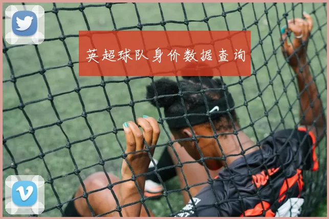 英超球队身价数据查询