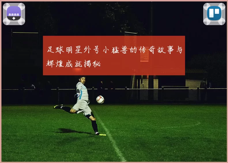 足球明星外号小猛兽的传奇故事与辉煌成就揭秘