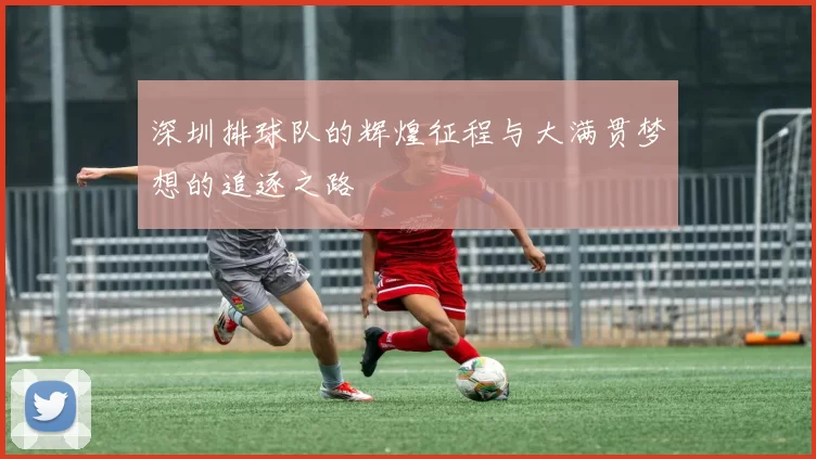 深圳排球队的辉煌征程与大满贯梦想的追逐之路